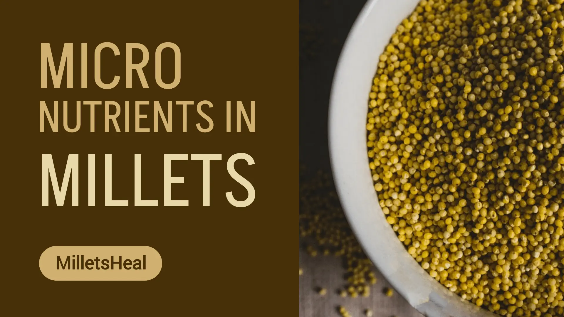 Micronutrients in Millets: Building Blocks for a Healthy Life