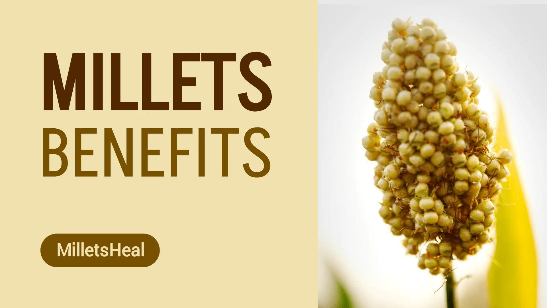 Millets for Better Health: Types, Benefits, and Delicious Recipes